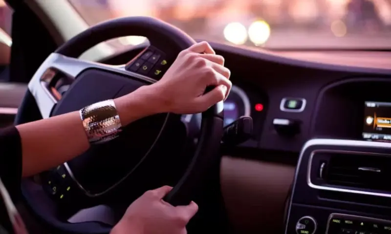 Fuel Saving Tips:  ప్రయాణంలో పెట్రోల్‌, డీజిల్‌ ఆదా కావాలంటే...ఈ టిప్స్‌ ఫాలో అవ్వండి