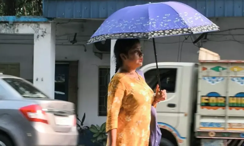 Heatwave: Four voters die during polling, Nor'wester expected