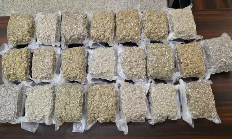 Hyderabad airport drug bust: Two held with Rs 4.6 crore hydroponic weed at RGIA