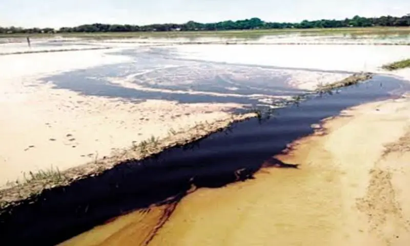 Assam: Oil India pipeline burst in Tingkong