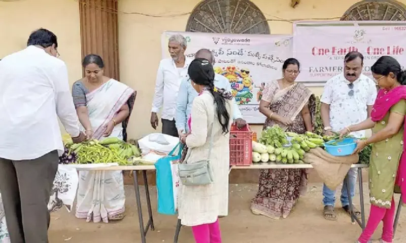 Organic vegetables highlight 'Happy Sunday' in Vijayawada