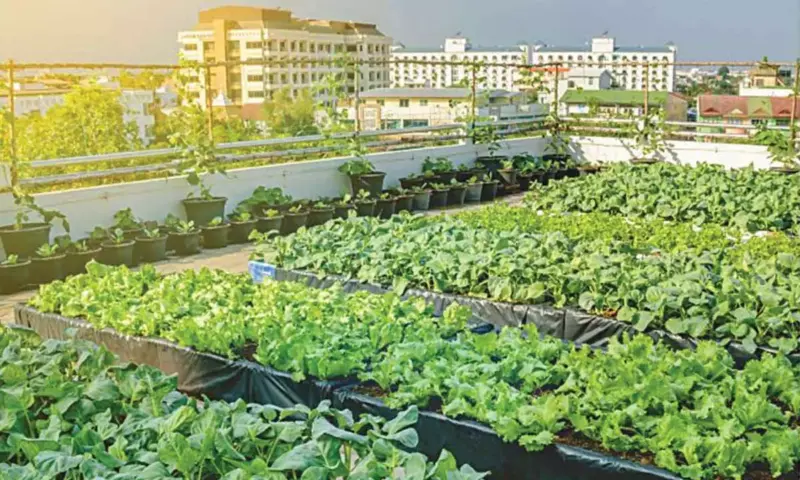 Nepal delegation studies natural farming practices