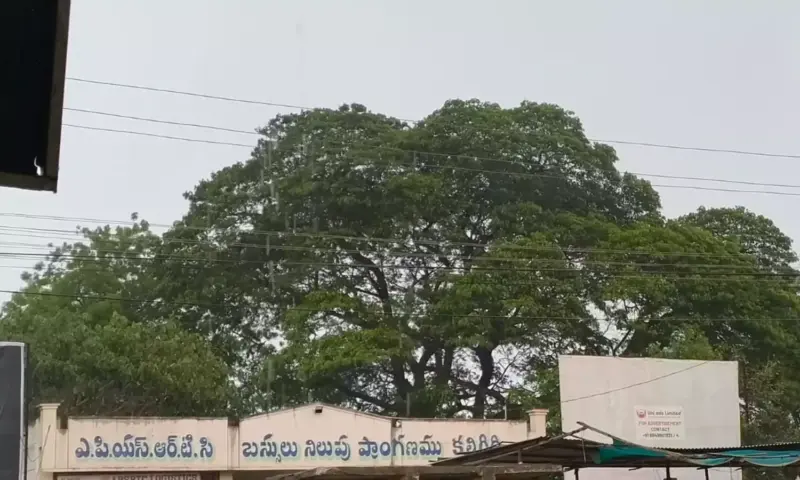 Nellore: వింజమూరు, కొండాపురం, కలిగిరిలో ఉరుములు, మెరుపుల వాన..