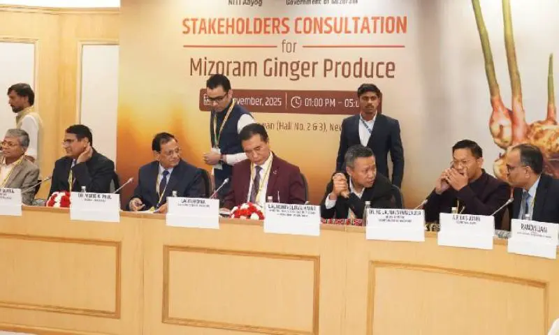 Mizoram set to become 'Ginger Capital of India' after NITI Aayog recommendation