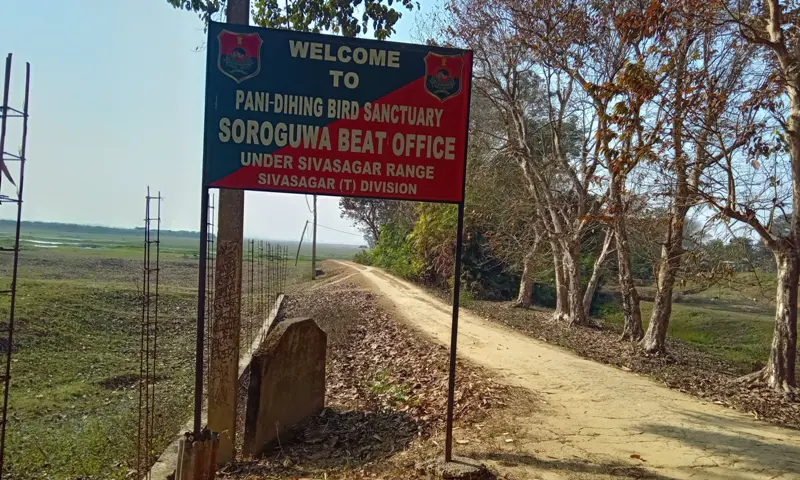 Multiple challenges overwhelm Assam's avian hotspot Panidehing Bird Sanctuary