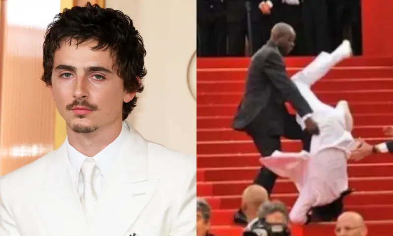 Did Timothée Chalamet Fall On Oscars Stairs? Here's The Truth Behind Viral Photo