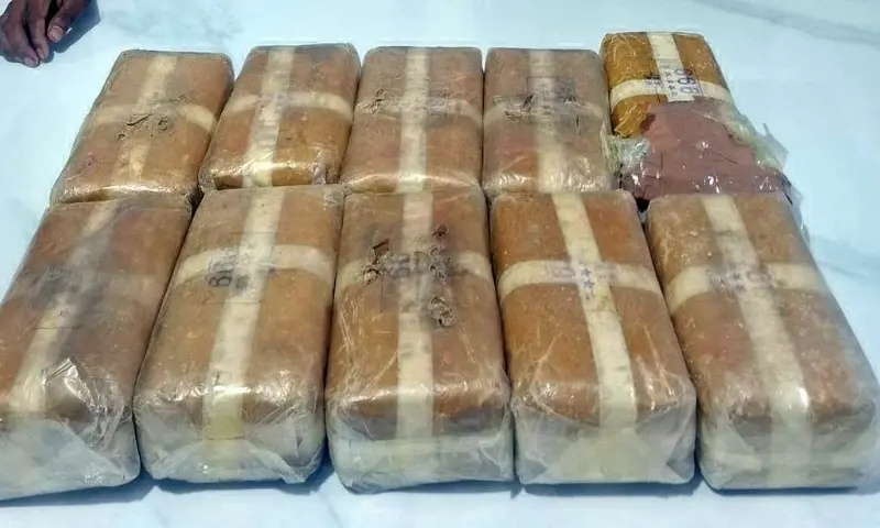 Mizoram Excise Dept seizes over 10 kg meth, 4 arrested in Aizawl drug bust