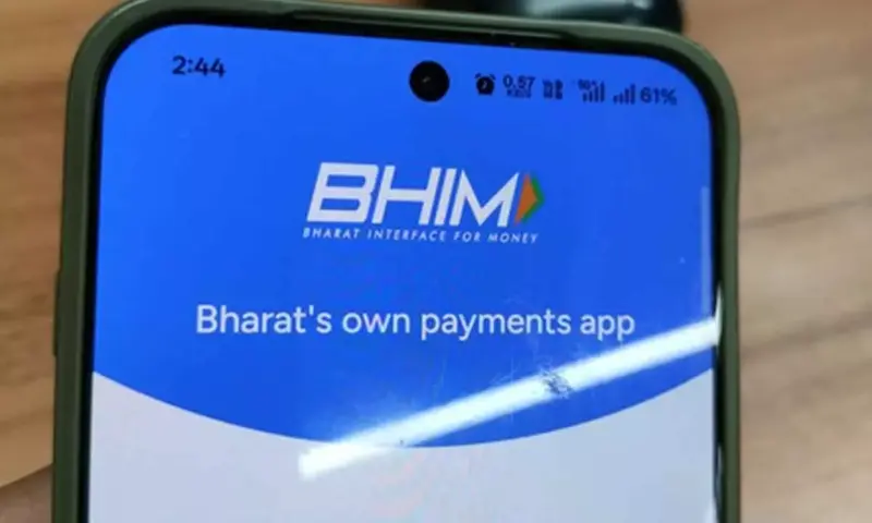 NPCI-backed BHIM app users can now check credit scores in new version