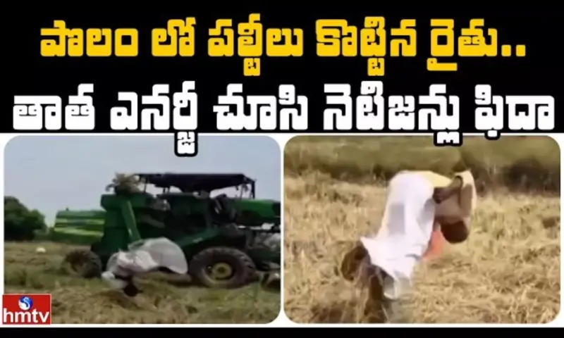 Jordar News: తాత ఎనర్జీ చూసి నెటిజన్లు ఫిదా