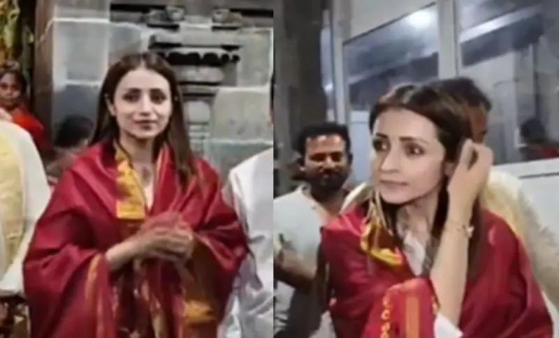 Trisha Krishnan : ట్రెండింగ్‌లో త్రిష.. పుట్టినరోజున తిరుమలలో పూజలు.. విజయ్ కోసమేనా? ఫొటోలు వైరల్!