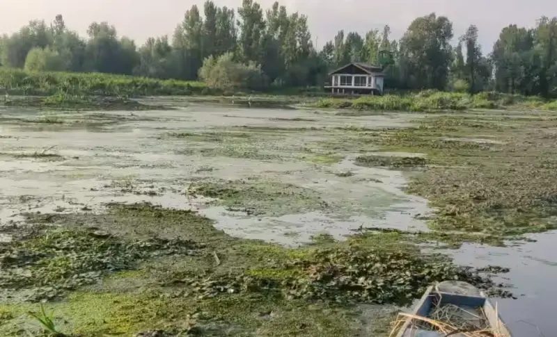 J&K | CAG Warns Of Hokersar Lake's Ecological Decline, Flags Large-Scale Encroachment