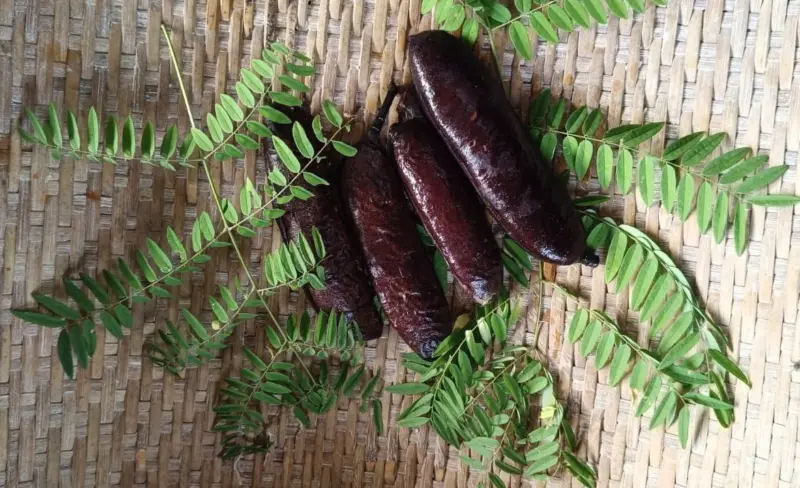 Can this Arunachali 'soap tree' disrupt the shampoo industry?