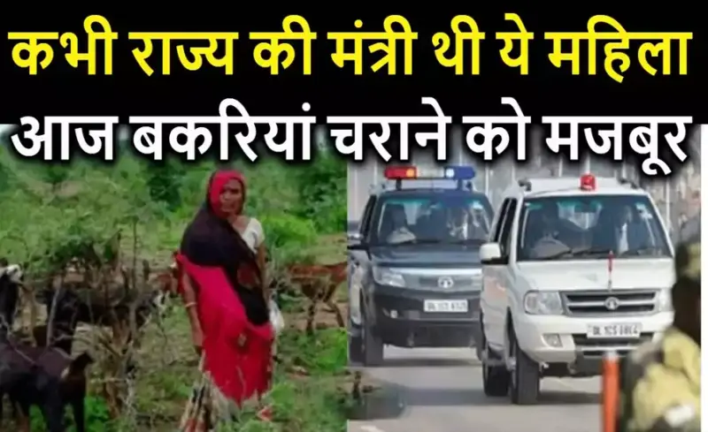 कभी लाल बत्ती वाली गाड़ी में चला करती थीं ये महिला, आज बकरी चराकर कर रही है अपना गुजारा