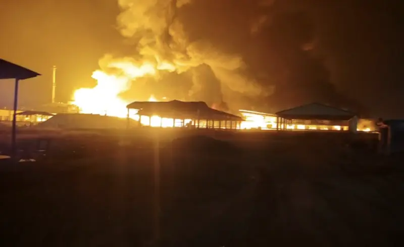 ભરૂચ : અંકલેશ્વર પાનોલીમાં આવેલી કંપનીમાં ભીષણ આગ, ફાયર વિભાગે મેજર કોલ જાહેર કર્યો