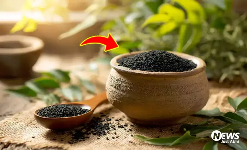 मौत को छोड़ कर हर मर्ज कीˈ दवाँ है साधारण सा दिखने वाला कलौंजी, इसके फायदे ऐसे की डॉक्टर भी रह जाते हैं हैरान