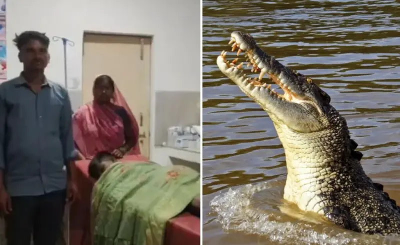 மரணத்தின் பிடியில் சிக்கிய 14 வயது சிறுவன்.! "நீர் அசுரனின் பிடியிலிருந்து மகனைக் காக்க களத்தில் இறங்கிய தந்தை". முதலையுடன் போராடி மீட்ட சம்பவம்..!!