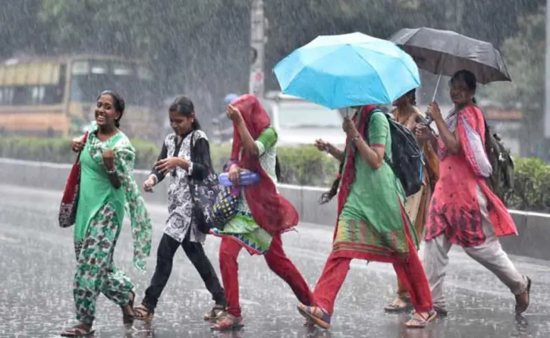 Rain Update: இடி, மின்னலோட. ஆறு நாளைக்கு 'மழையும்' உண்டு மக்களே!
