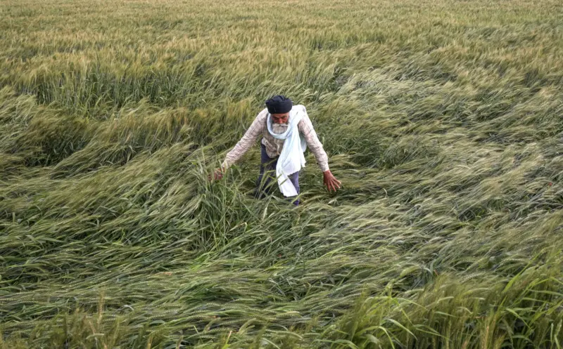 Parliamentary agriculture panel begins study tour of Srinagar, Ludhiana, Chandigarh, Shimla