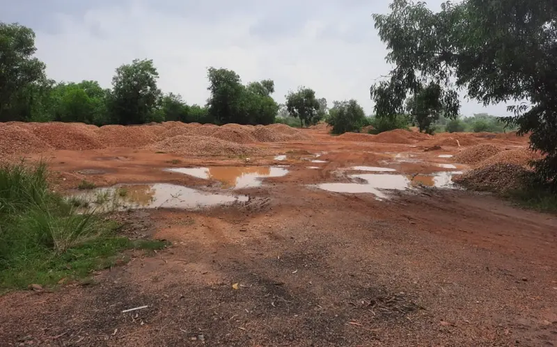 Green resistance in the gravel mining belt: Paschim Bardhaman's wolves stand between forest and fortune