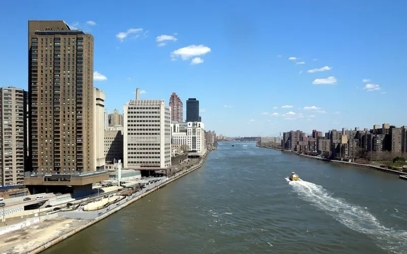 Scientists use eDNA method to reveal information about New York City's human diets, wildlife and ecology