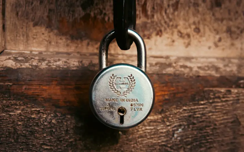 Digital Frontier: Premium VPN Rise in India
