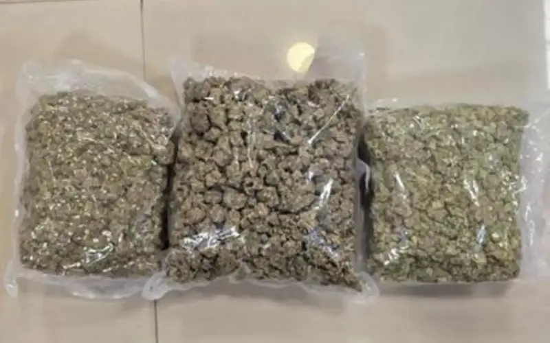 Pune Airport Drug Bust: Passenger Held with Hydroponic Weed Worth Rs 33.6 Lakh