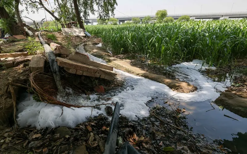 For farmers in rural Delhi struggling with rising input costs and declining water, wastewater dependence is a no-brainer despite health risks involved