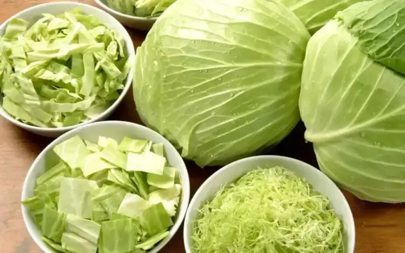 Cabbage: క్యాబేజీ తింటున్నారా? ఈ జాగ్రత్తలు తప్పనిసరి
