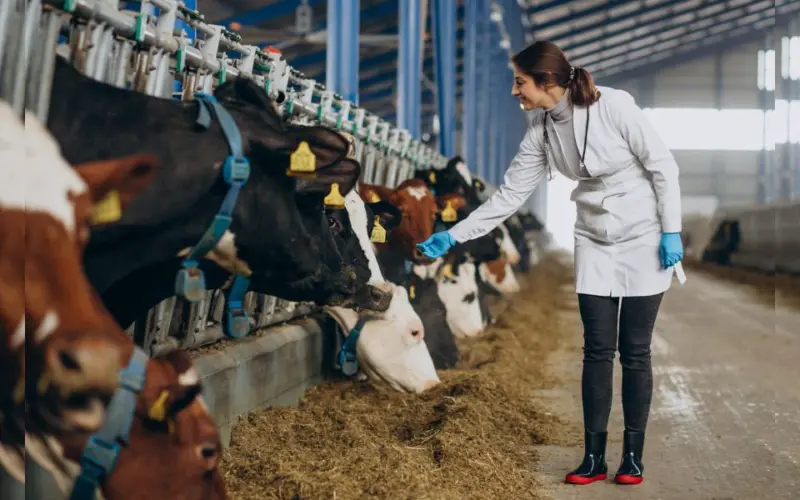 How to Manage Dairy Supply Chain Issues: Risk and Compliance in Modern Operations