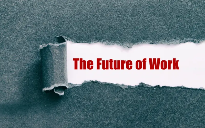 Building Future-Ready eCommerce Platforms with Shopify Development Services