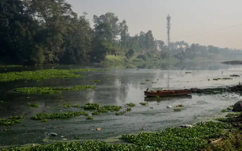 NGT Bars PMC From Using 'Draynzyme' in Rivers Without Scientific Clearance