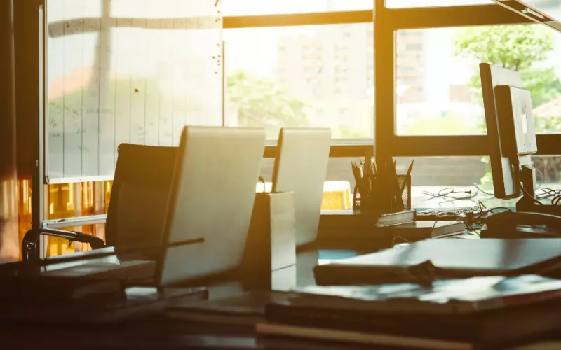 Shopify Development Services as a Growth Engine for Startups and D2C Brands