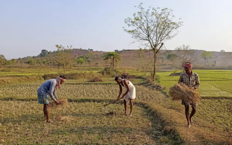 'Who Is a Landless Agri-Labourer?' Bengal Government Rushes to Answer Ahead of Polls