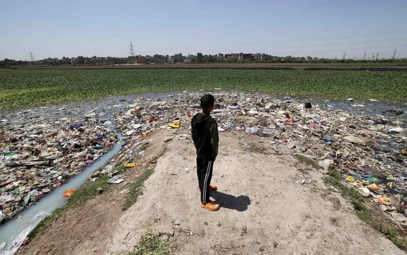 A 'wetland' in Delhi with a difference