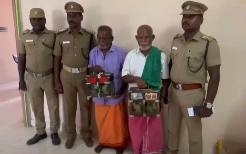 கிளி சோதிடர்கள் இருவரும் விடுவிப்பு!