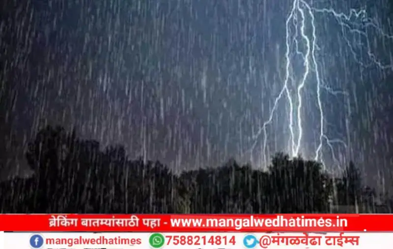 वादळी वारा अन् विजांचा कडकडाट; राज्यात पुढील ५ दिवस पावसाची शक्यता, 'या' चार जिल्ह्यांना ऑरेंज अलर्ट