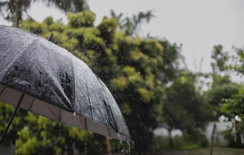 Rain, Snow Likely In J&K From Tuesday Forenoon: MeT