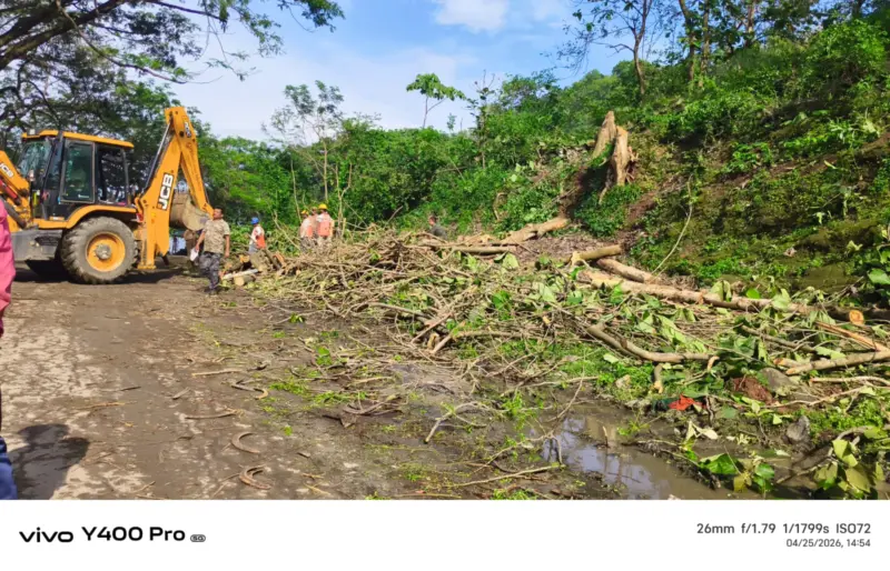 Deepor Beel elevated corridor sparks concern over tree felling, ecological impact