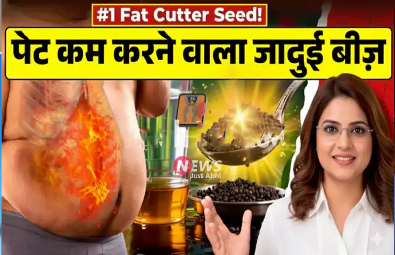 क्या आप मोटापे से परेशान हैं? तो ये है मोटापा कम करने का जादुई बीज जो आपके पेट की चर्बी पिघला कर कर देगा आपको पतला