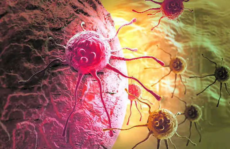 What's the difference between a tumour and cancer?