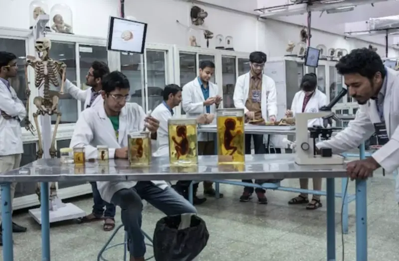 Andhra : CM Naidu orders quick rollout of PPP medical colleges