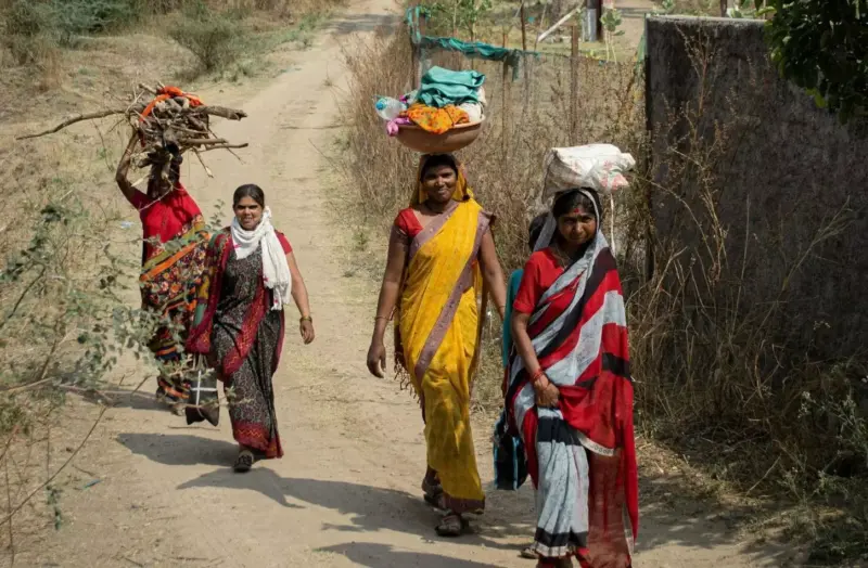 Chenchu Struggle: Why Nallamalla's indigenous community is fighting relocation