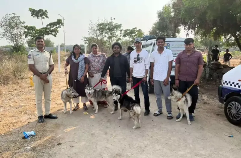 40 Huskies, one truck, zero mercy: The cruel canine abandonment in Hyderabad's Shankarpally
