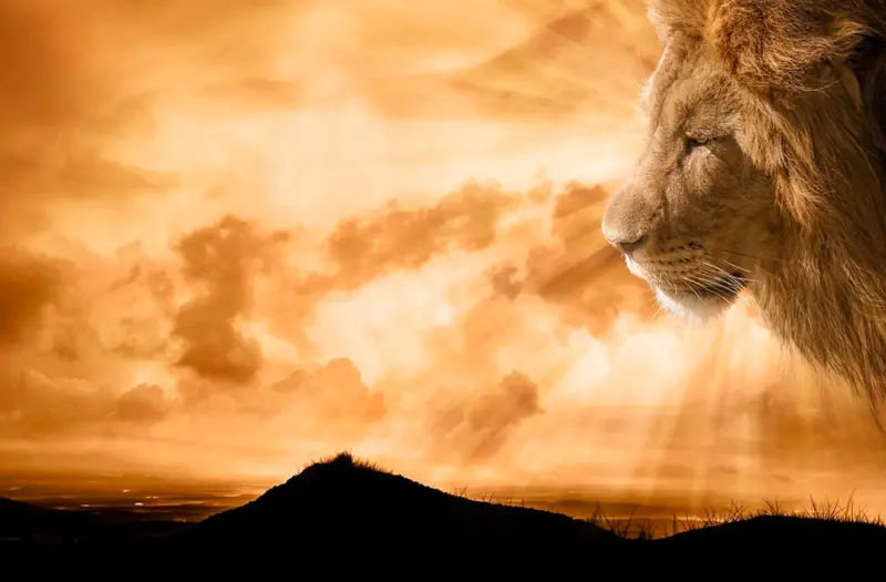 Operation 'Roaring Lion': Here is why the planet's second-largest cat is a recuring motif in Judaism