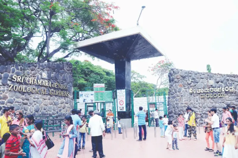 ಮಂಗಳವಾರವೂ ಮೈಸೂರು ಜೂ ವೀಕ್ಷಣೆಗೆ ಲಭ್ಯ