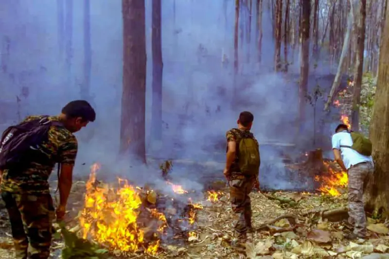 Uttarakhand: Three labourers killed in forest fire in Almora, smog engulfs Nainital