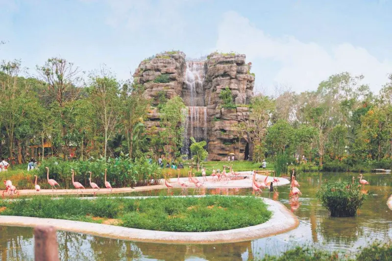 Singapore: As immersive as it gets!