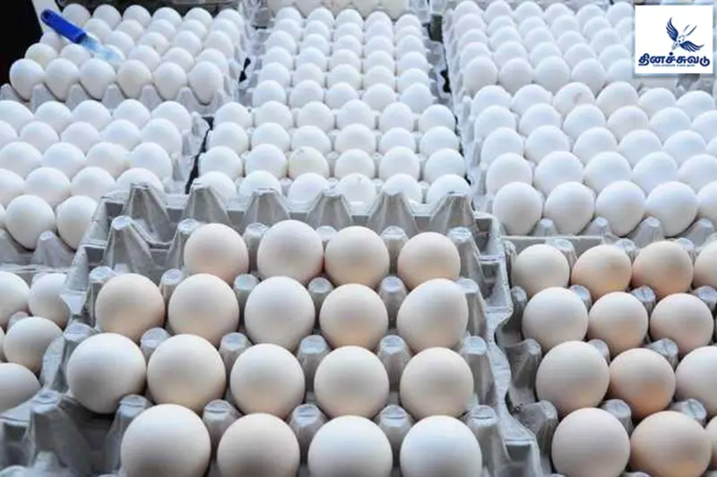 இன்றைய முட்டை விலை..!