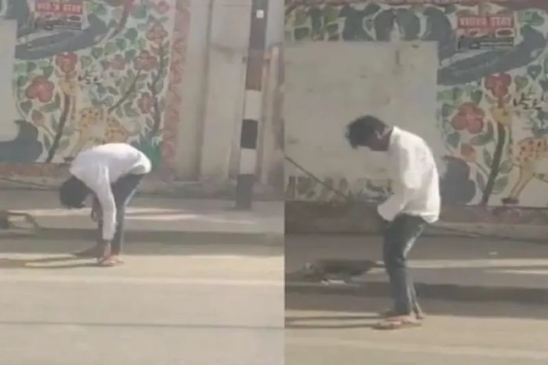 বিহারের রাজপথে ঘুরছে জীবন্ত 'জম্বি'? ভয়ঙ্কর ড্রাগের মরণ কামড়ে হাড়হিম Video Viral