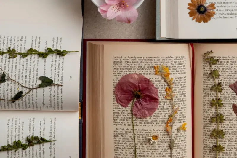 Word of the Day, April 05: 'Paragon'